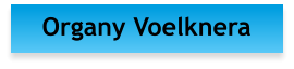 Organy Voelknera